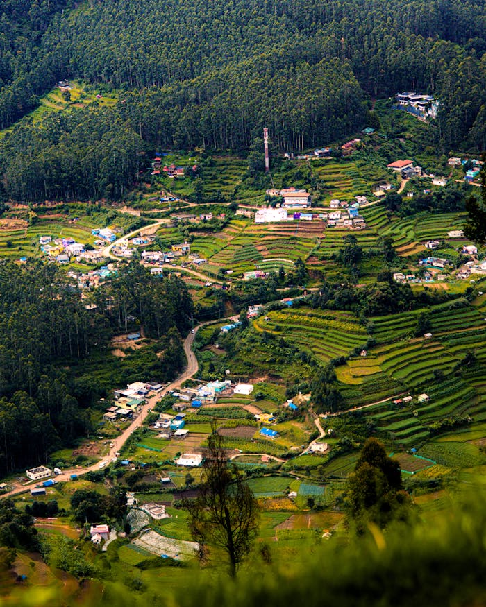 Stunning aerial view of terraced fields and dense forest in a vibrant green valley landscape.