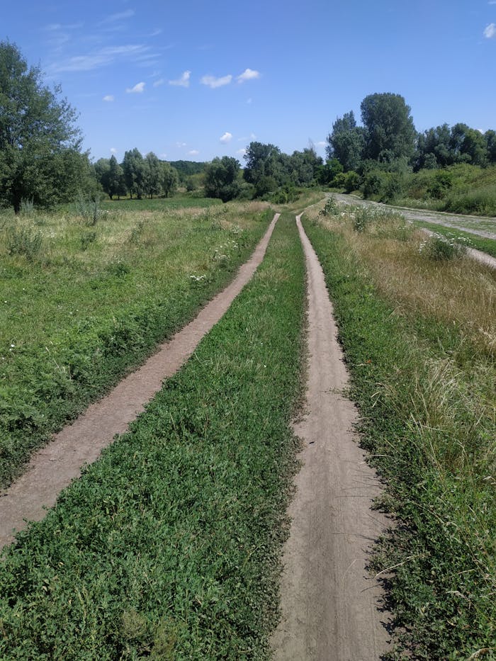 A dirt road cuts through a lush, green rural landscape under a bright blue sky.