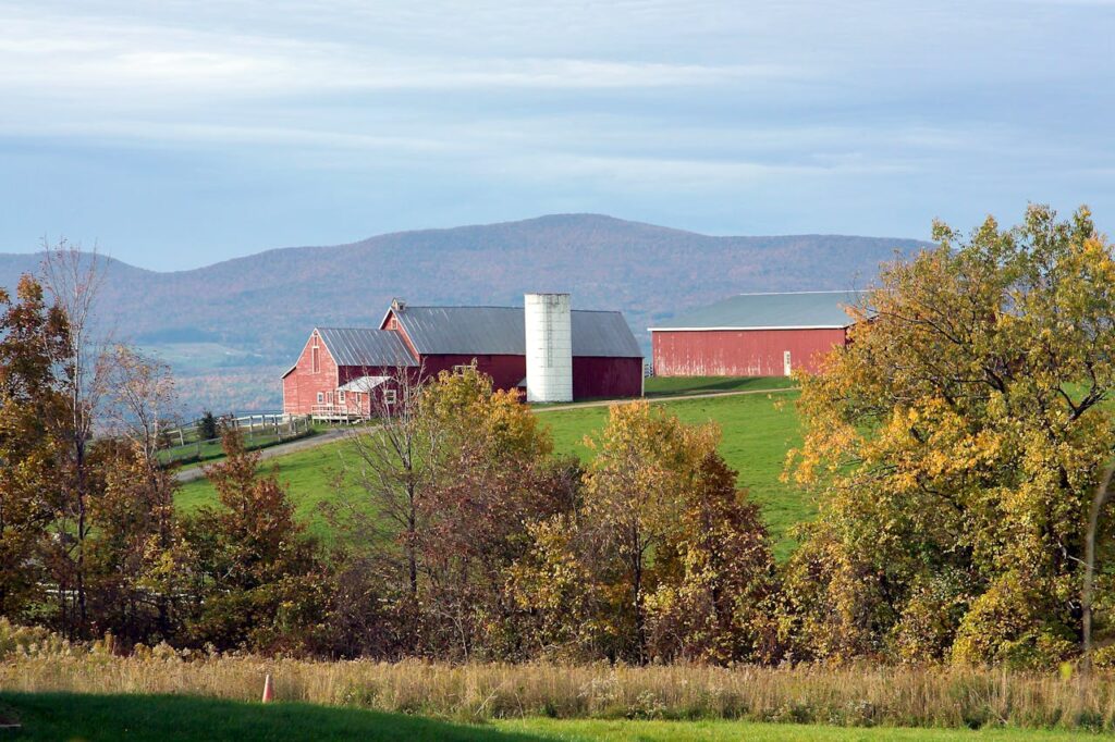 Upstate New York farm with the Catskill Mountains in the background.