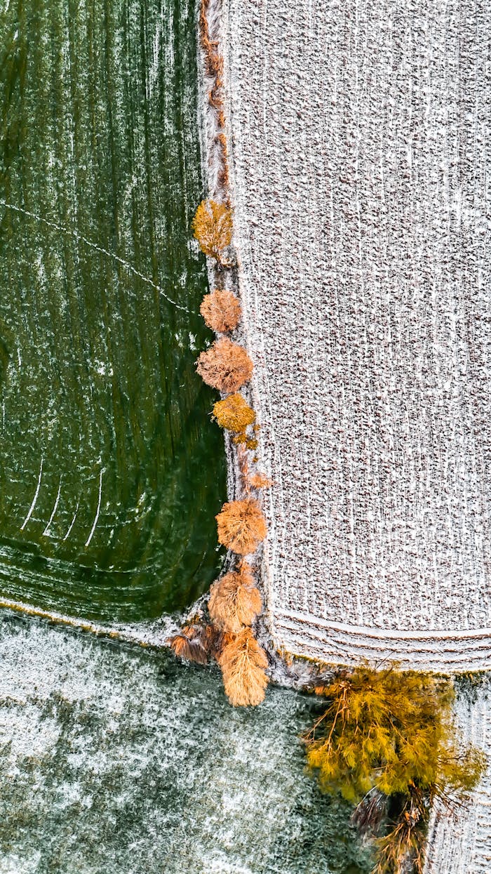 about-us-02 Aerial landscape of green and snow-covered fields divided by trees in winter.